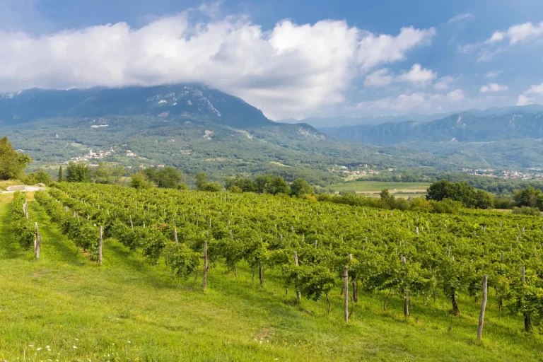 Vipava-dalen i Gorice-regionen i Slovenia